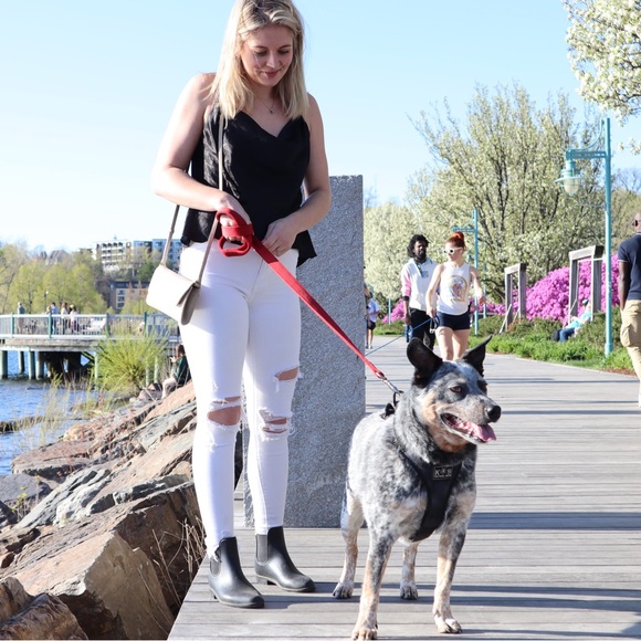 Meet your Posher, Jocelyn - Picture 4 of 10